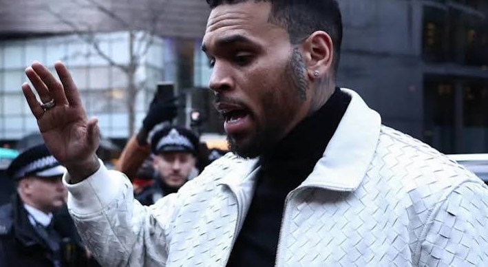 Chris Brown Ordered to Pay $13 Million After Housekeeper Suffers Severe Dog Attack
